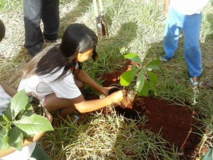 Menina de tribo indígena aprende a lidar com a terra em sua comunidade. Rede Peteca - Chega de Trabalho Infantil. Crédito: Assind
