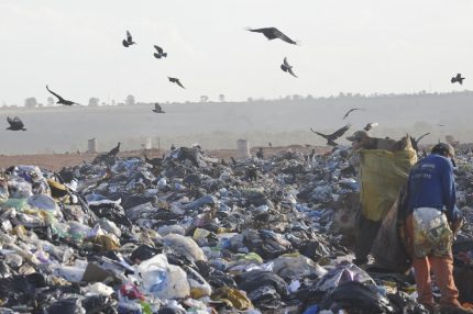 Lixão da estrutural em brasília. Image, mostra terreno tomado por sacos de lixo, trabalhadores revirando os sacos e aves